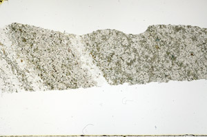 Plane Polarized, N11539