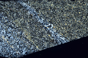 Cross Polarized, N11539/A