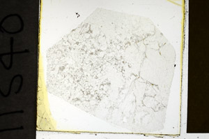 Plane Polarized, N11540