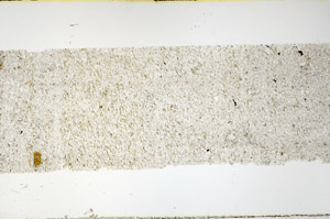Plane Polarized, N11541