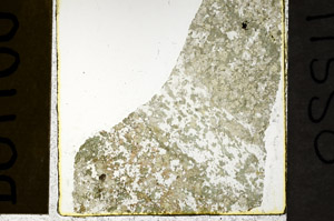 Plane Polarized, N11550