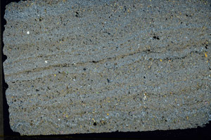 Cross Polarized, N11554