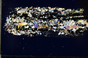 Cross Polarized, N11558