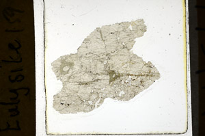 Plane Polarized, N11566