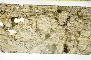 Plane Polarized, N11566/A