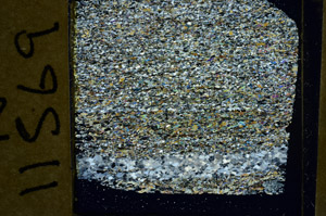 Cross Polarized, N11569