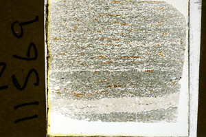 Plane Polarized, N11569