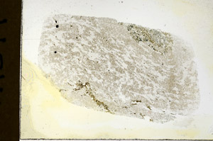 Plane Polarized, N11571
