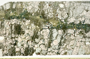 Plane Polarized, N11572/A