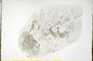 Plane Polarized, N11573