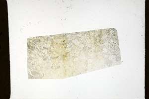 Plane Polarized, N11580