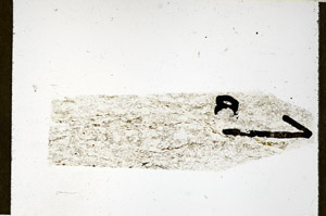 Plane Polarized, N11581/b