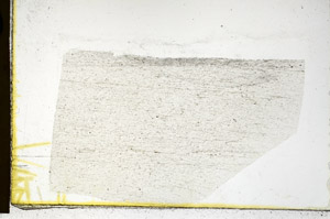 Plane Polarized, N11583
