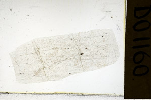 Plane Polarized, N11584