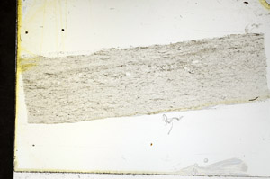 Plane Polarized, N11585