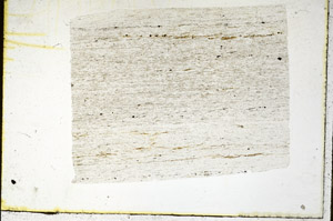 Plane Polarized, N11588