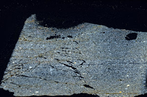 Cross Polarized, N11590
