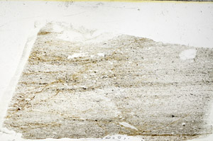 Plane Polarized, N11590