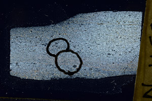 Cross Polarized, N11595