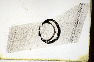 Plane Polarized, N11596