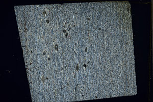 Cross Polarized, N11596/A