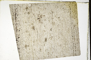 Plane Polarized, N11596/A