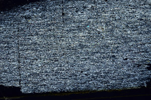 Cross Polarized, N11598/a