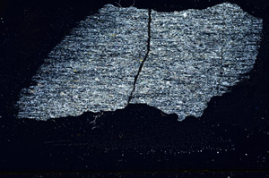 Cross Polarized, N11598/b