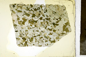 Plane Polarized, N11613/C