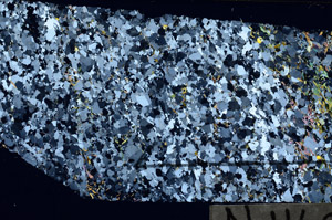 Cross Polarized, N11626