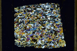 Cross Polarized, N11629
