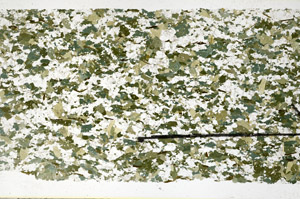 Plane Polarized, N11629/A