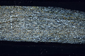 Cross Polarized, N11632