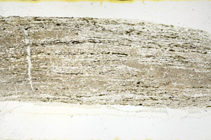 Plane Polarized, N11632