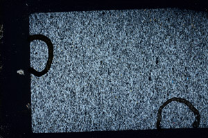 Cross Polarized, N11635
