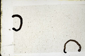 Plane Polarized, N11635