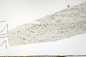 Plane Polarized, N11636