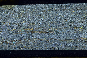 Cross Polarized, N11638