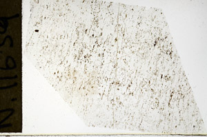 Plane Polarized, N11639
