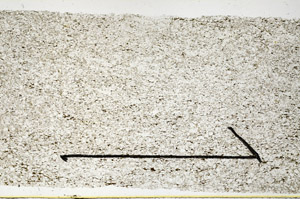 Plane Polarized, N11640