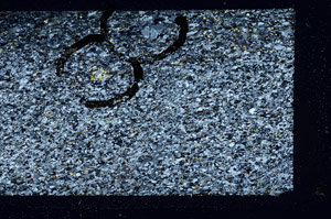 Cross Polarized, N11642