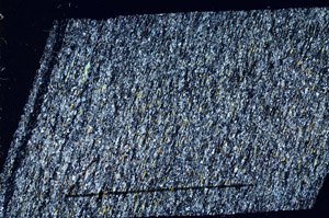 Cross Polarized, N11644