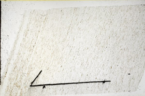 Plane Polarized, N11644