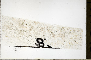 Plane Polarized, N11646/B