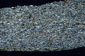 Cross Polarized, N11647