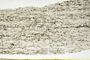 Plane Polarized, N11647