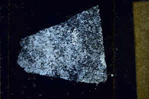 Cross Polarized, N11648/B
