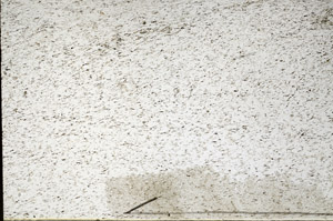 Plane Polarized, N11653