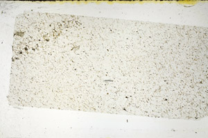 Plane Polarized, N11655