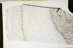 Plane Polarized, N11657